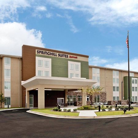 Springhill Suites By Marriott Mobile West Luaran gambar